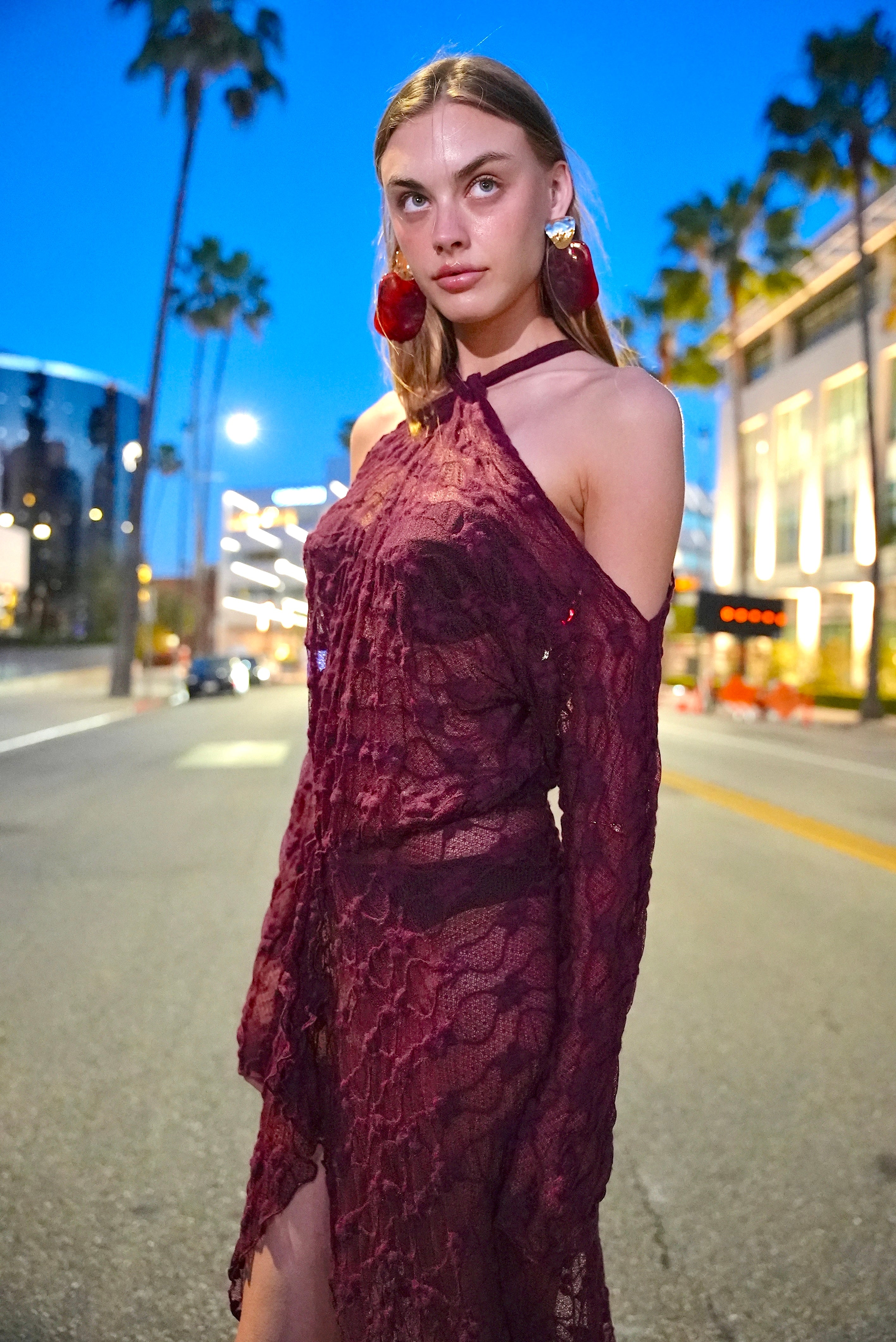 SANTA ROSA PLUM LACE DRESS