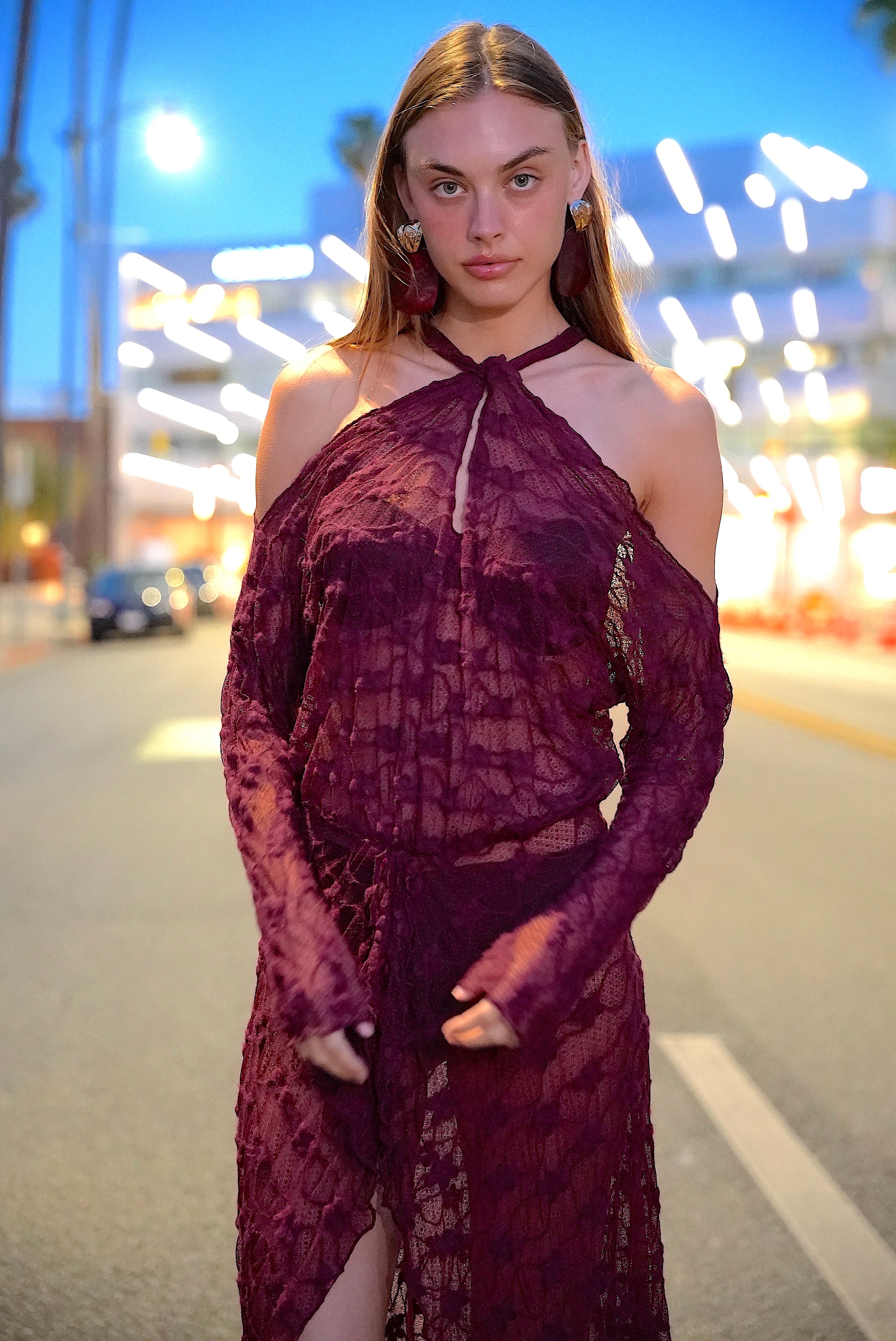 SANTA ROSA PLUM LACE DRESS