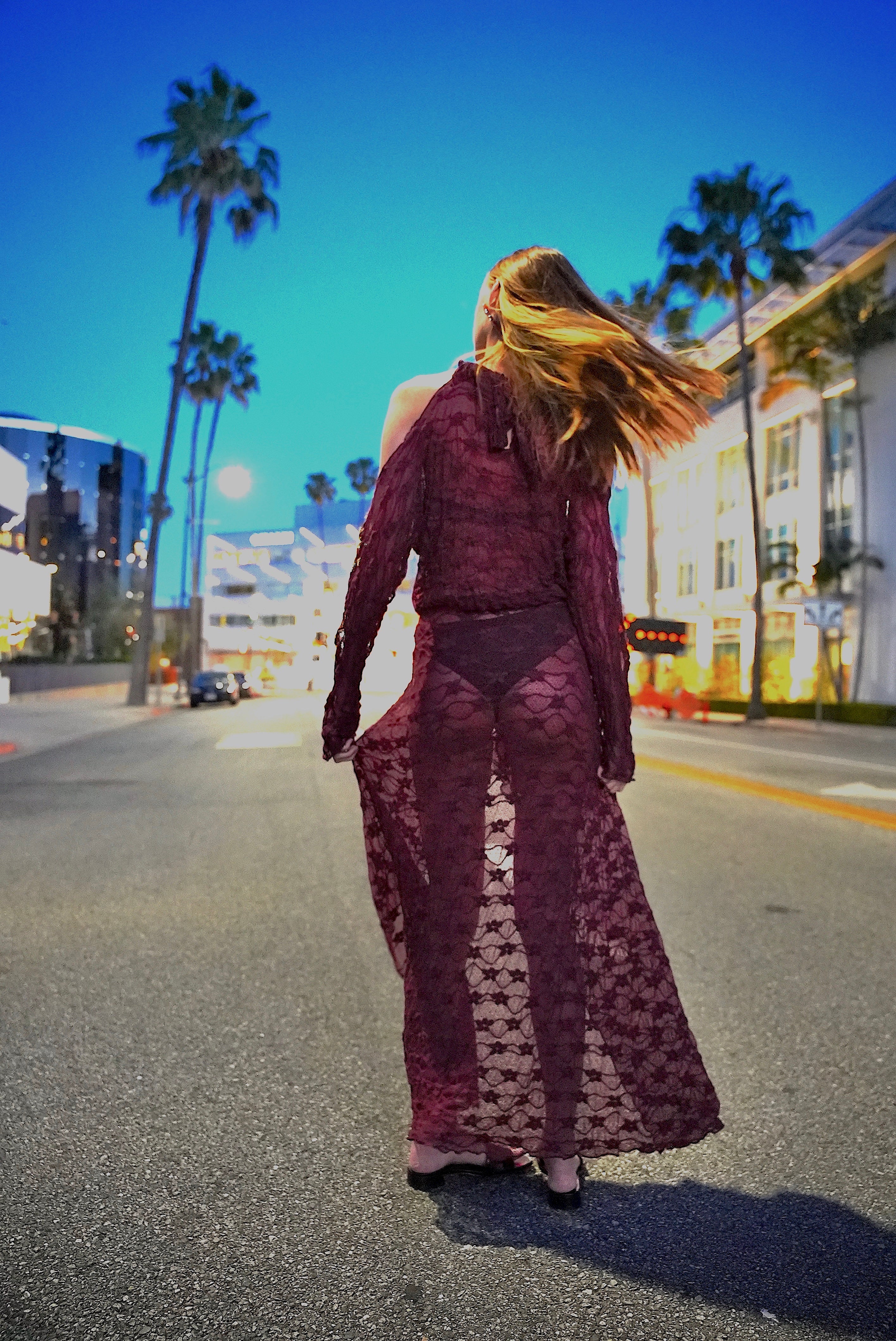 SANTA ROSA PLUM LACE DRESS