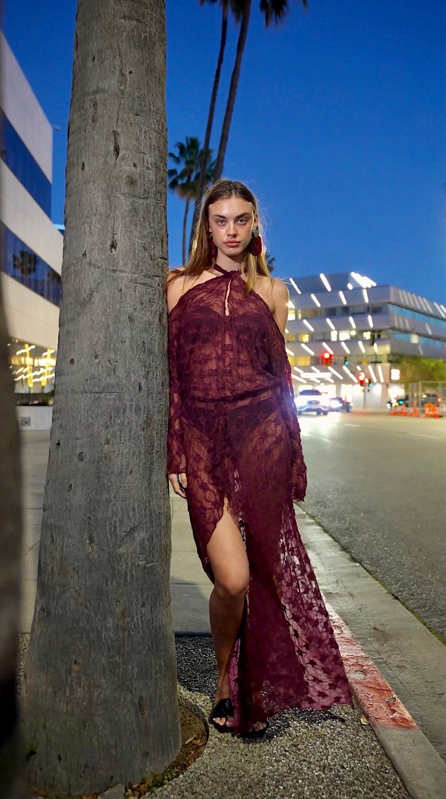 SANTA ROSA PLUM LACE DRESS