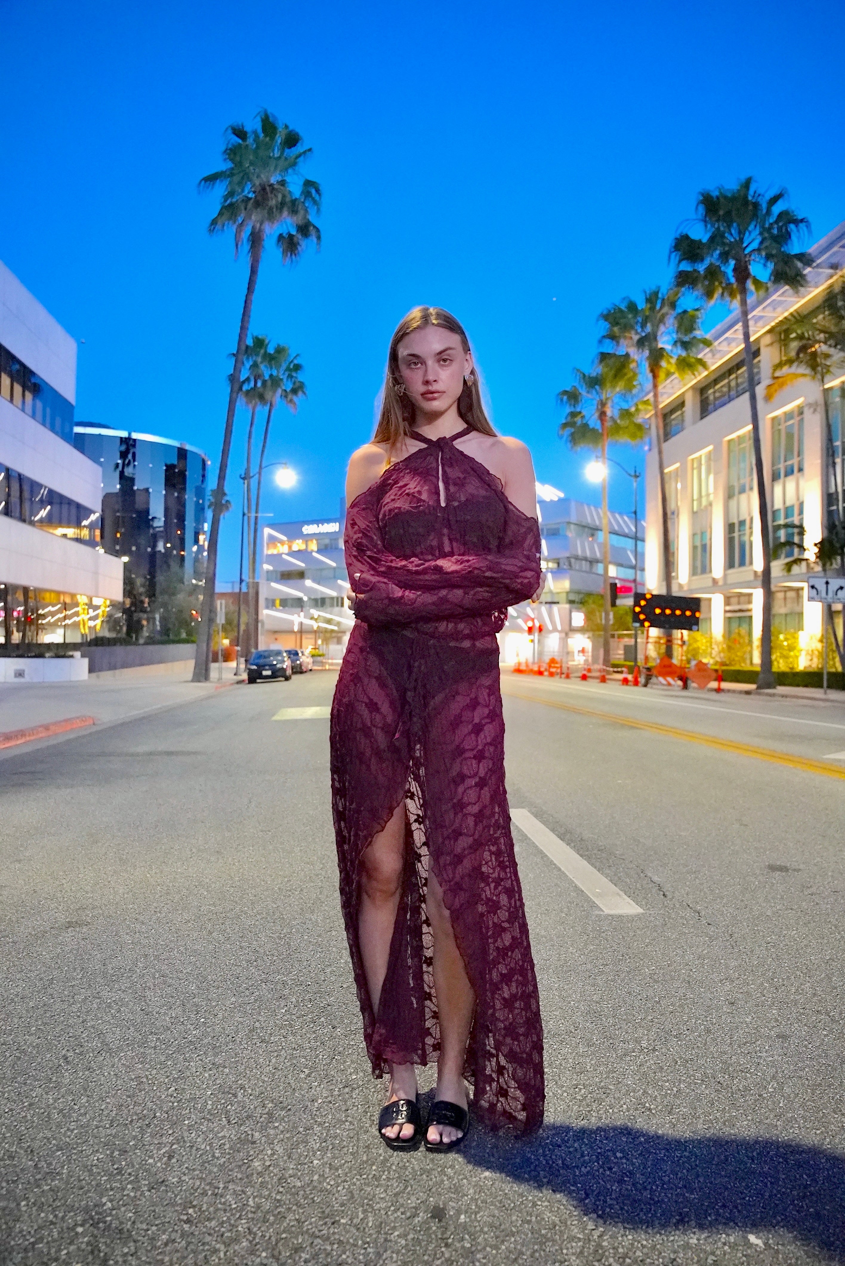 SANTA ROSA PLUM LACE DRESS
