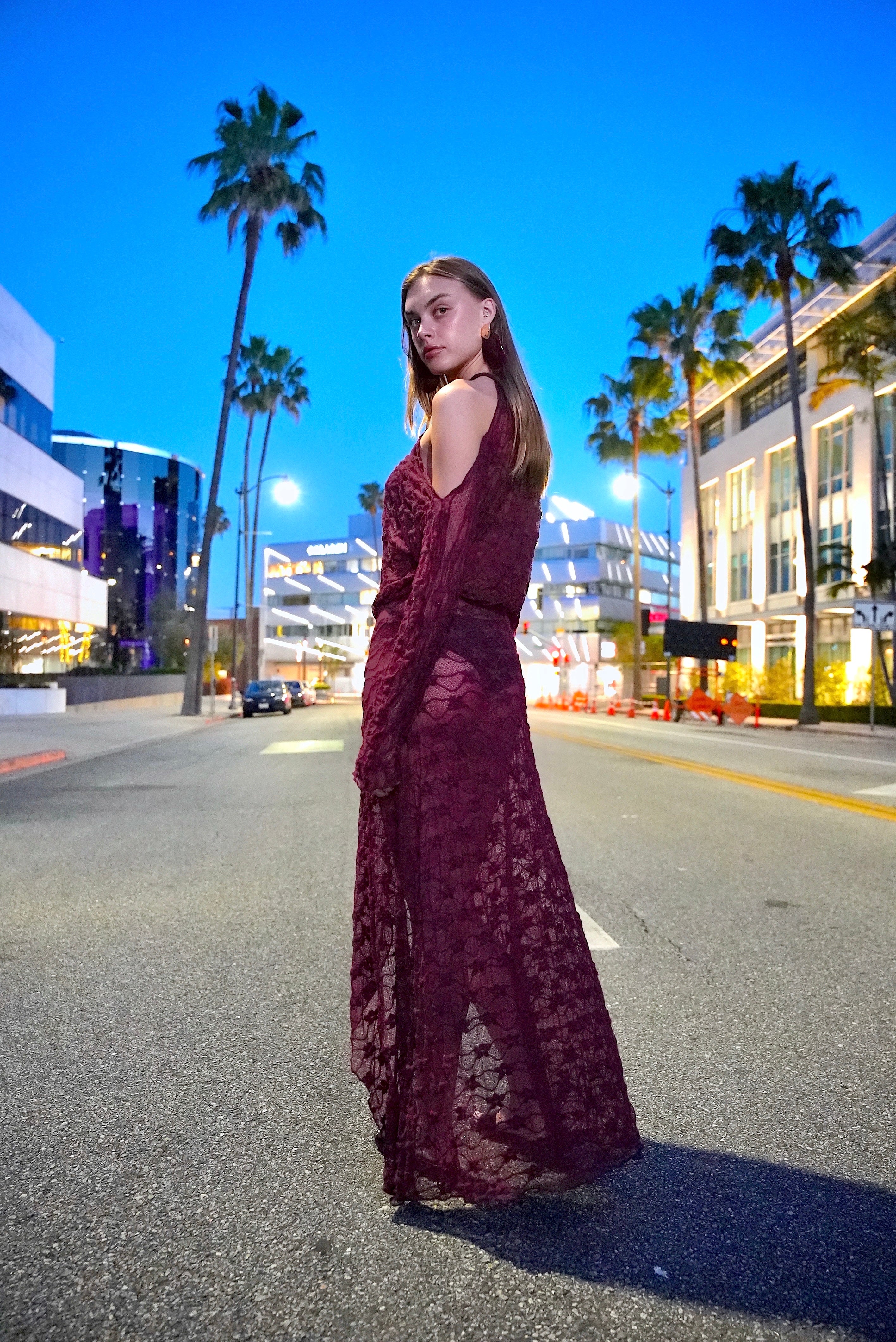 SANTA ROSA PLUM LACE DRESS