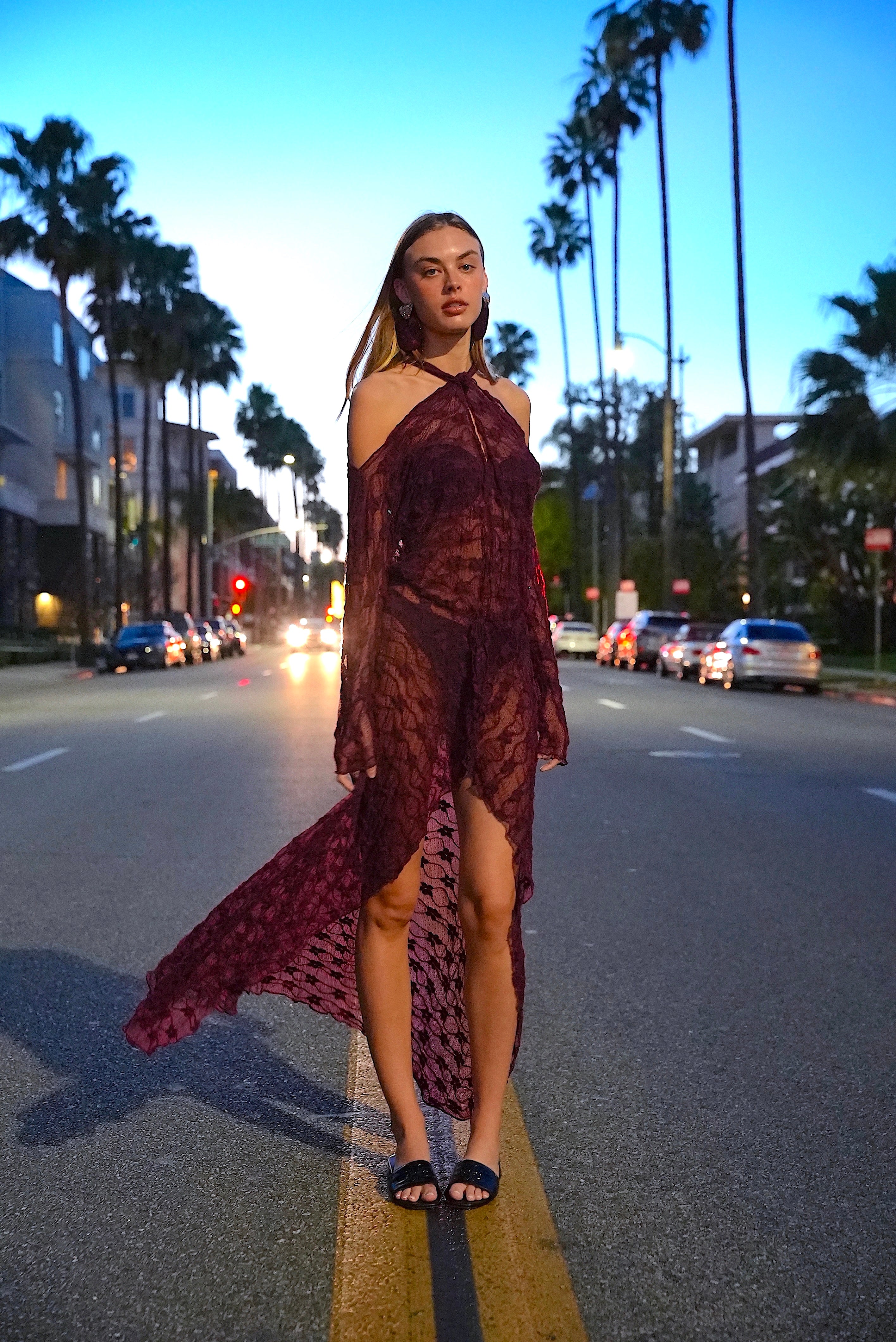 SANTA ROSA PLUM LACE DRESS