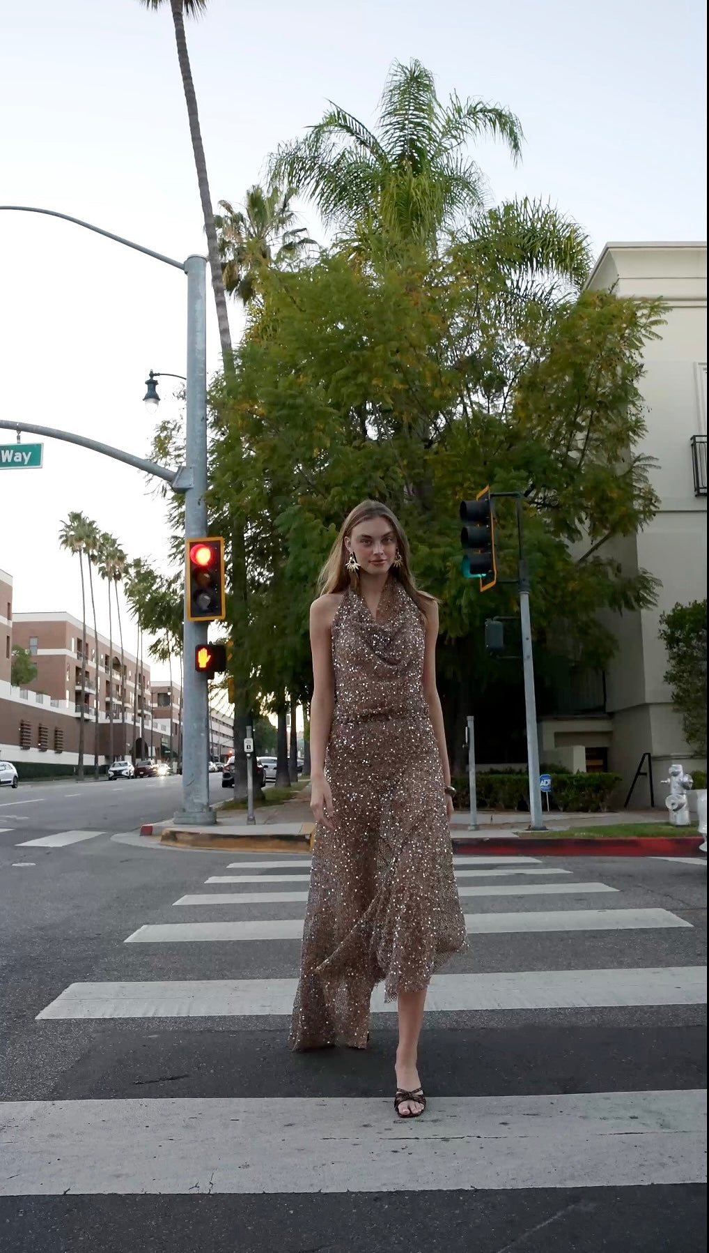 ARTEMIS DRESS